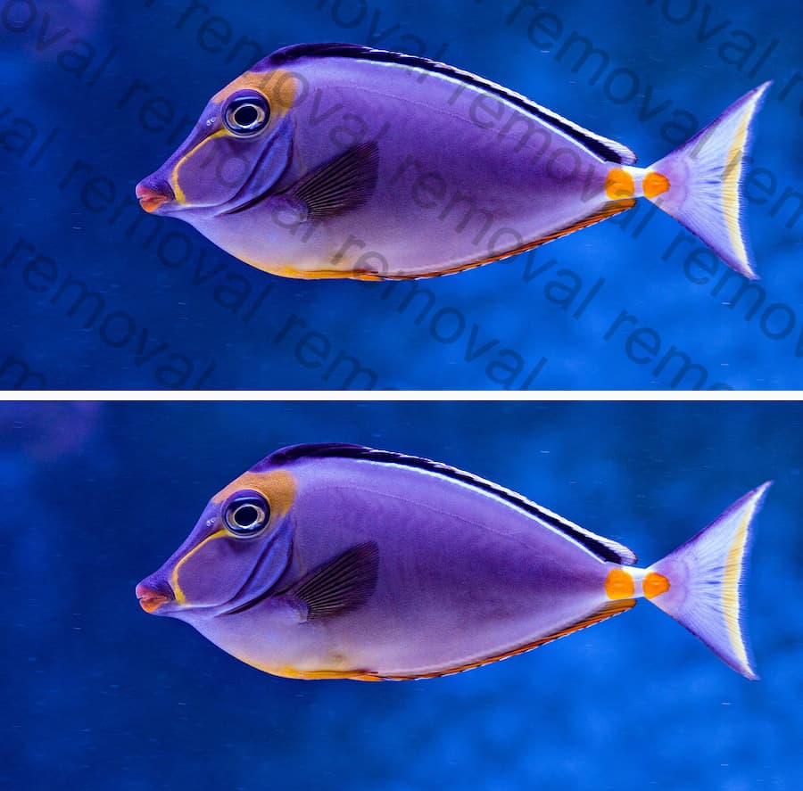 Built for Creators & Marketers