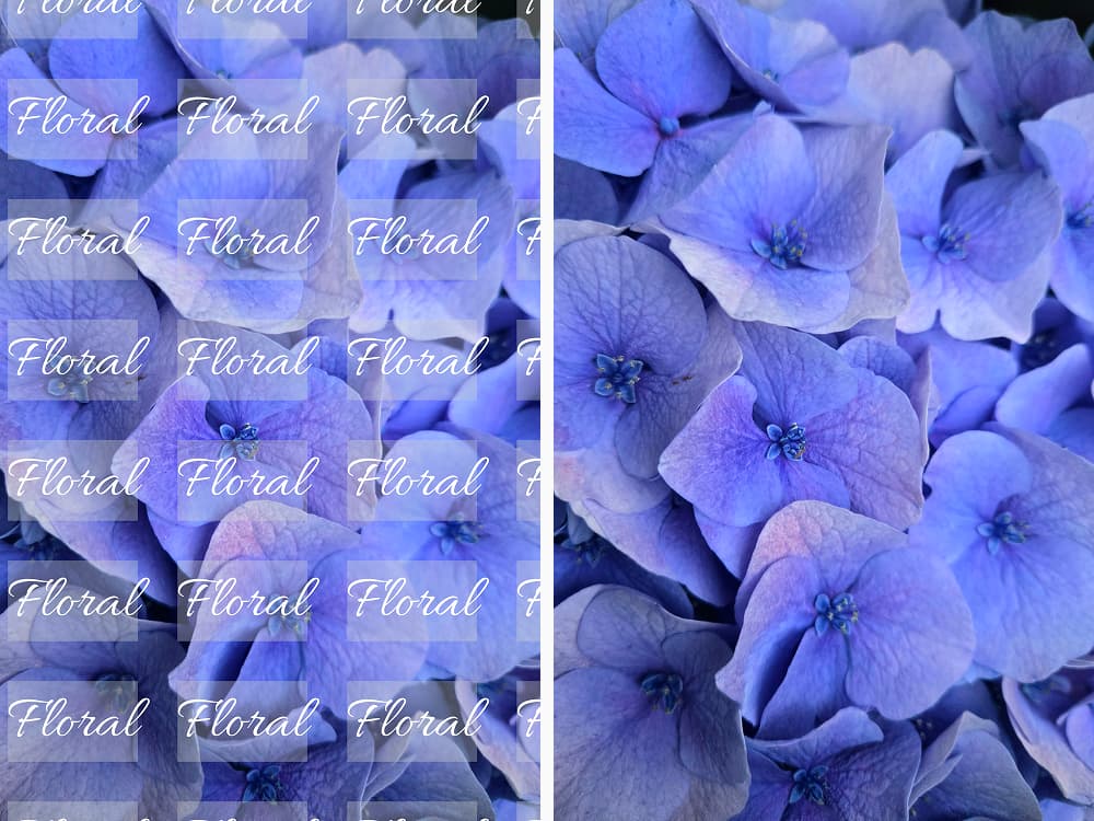 A close-up of blue flowers with a repeating 'Floral' watermark removed