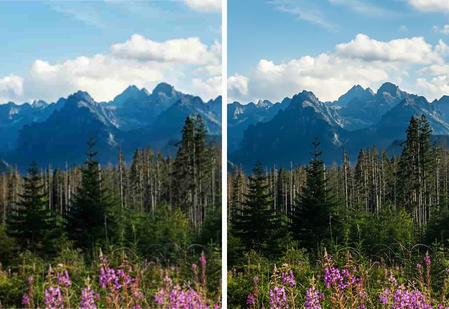 Unique Text-Prompt Precision