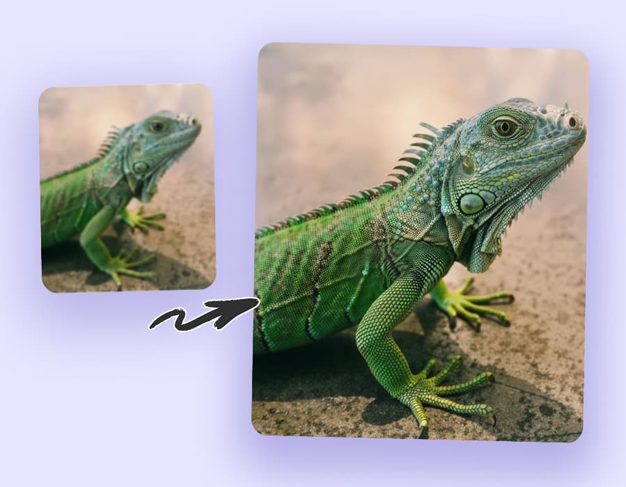 Before and after unblurring a picture of an iguana to show enhanced texture and detail.